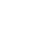 Business Model Icon